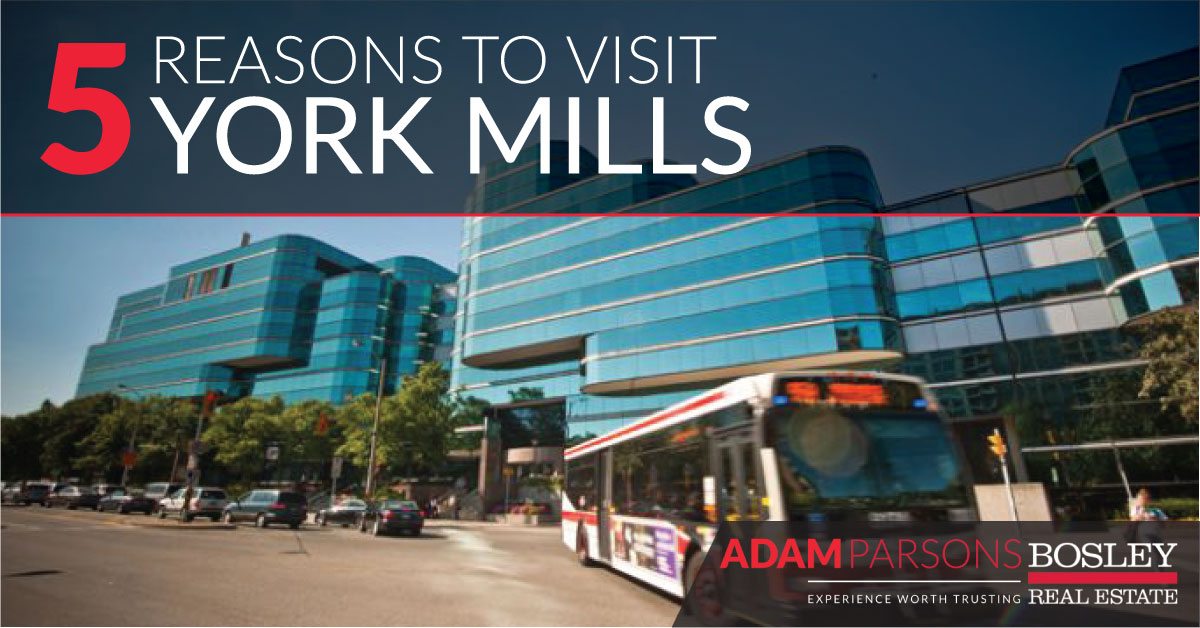 5 Reasons to Visit York Mills Adam Parsons